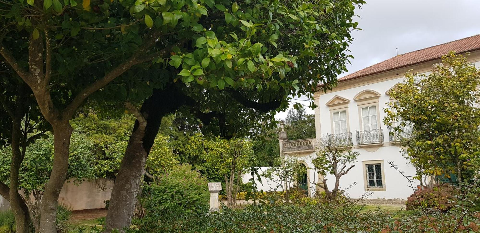 Palacio Da Portela III Coimbra Dış mekan fotoğraf